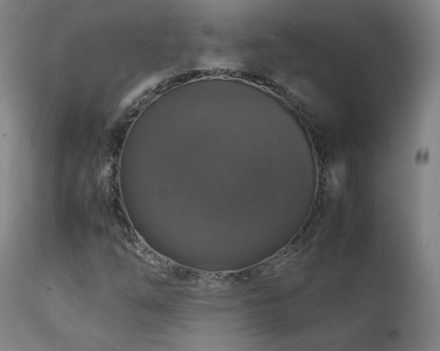 X0000111211254200907011435