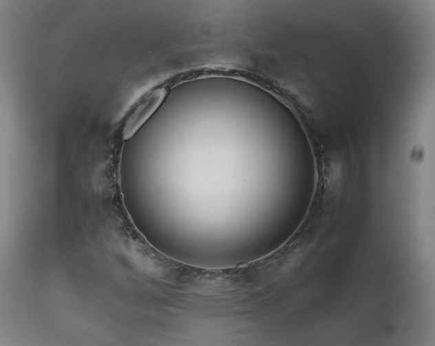 X0000111211256200907011435