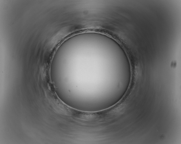 X0000111211257200907011435