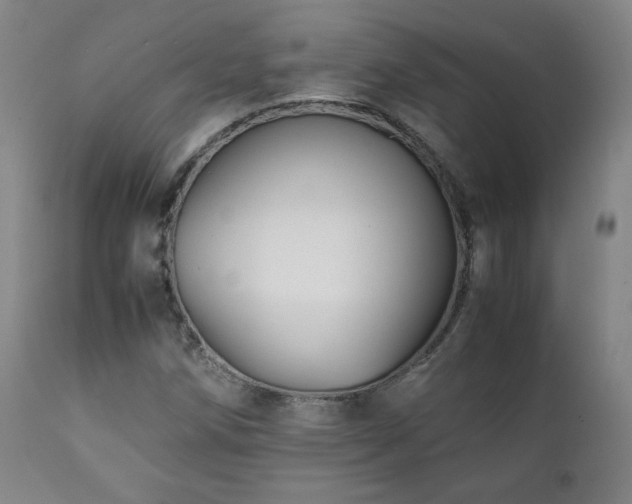 X0000111211258200907011435