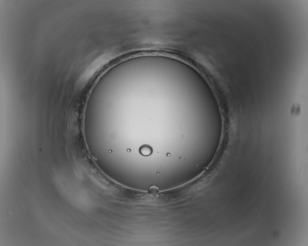 X0000111211259200907011435