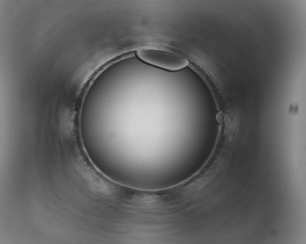 X0000111211260200907011435