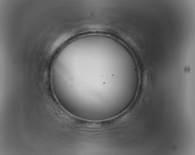 X0000111211261200907011435