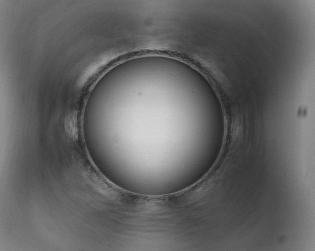 X0000111211262200907011435