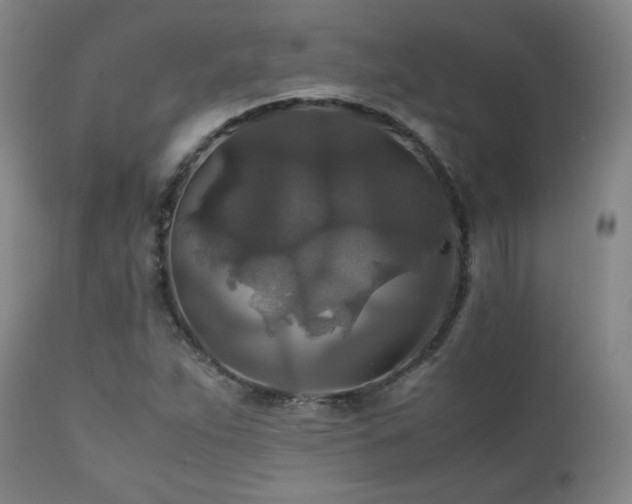 X0000111211263200907011435