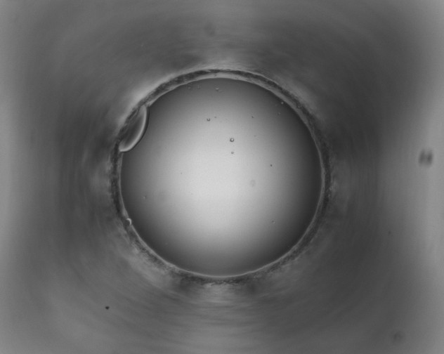 X0000111211264200907011435