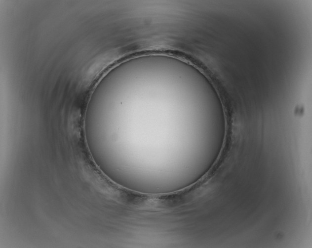 X0000111211265200907011435