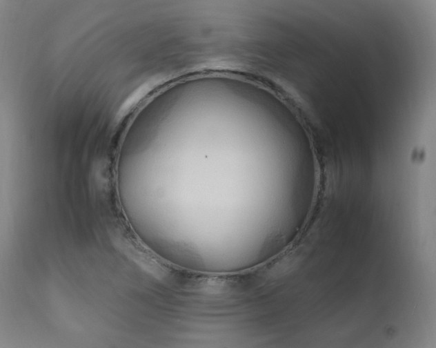 X0000111211266200907011435