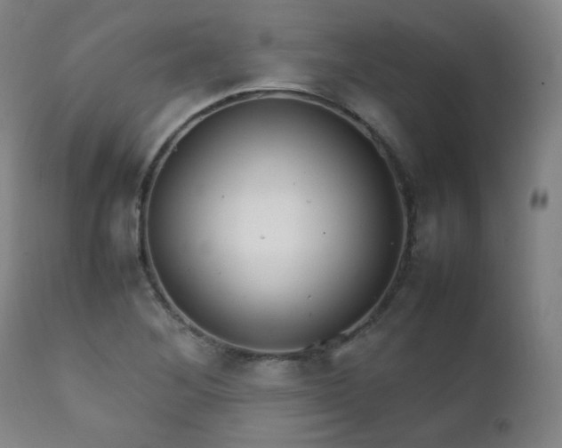 X0000111211268200907011435