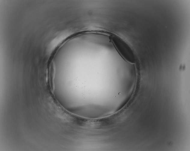 X0000111211269200907011435