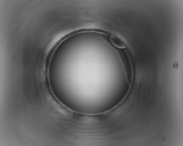 X0000111211270200907011435