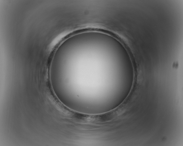 X0000111211271200907011435