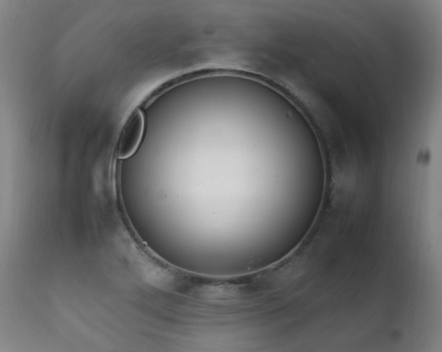 X0000111211272200907011435