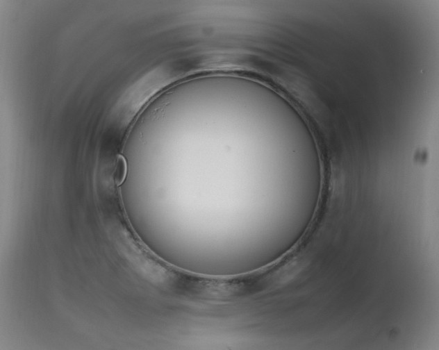 X0000111211273200907011435