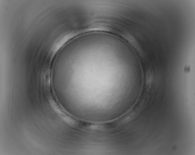 X0000111211274200907011434