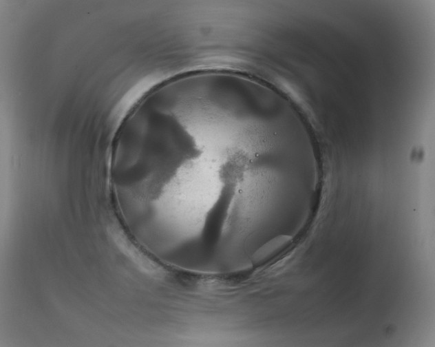 X0000111211275200907011434