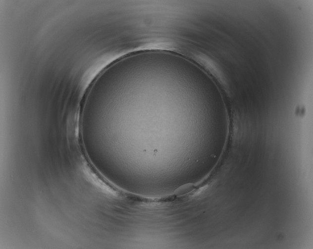 X0000111211276200907011434