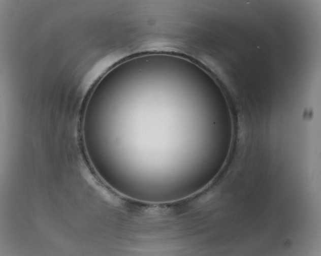 X0000111211277200907011434