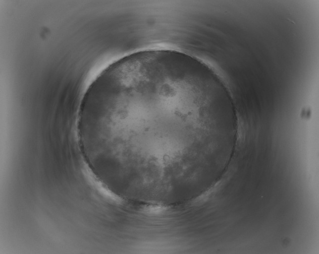 X0000111211278200907011434