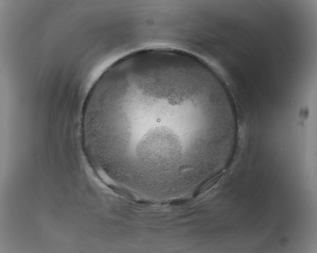 X0000111211279200907011434