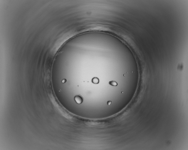 X0000111211281200907011434