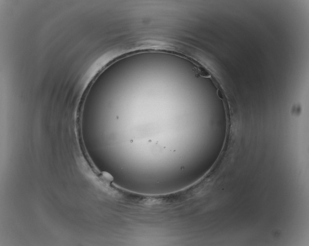 X0000111211283200907011434