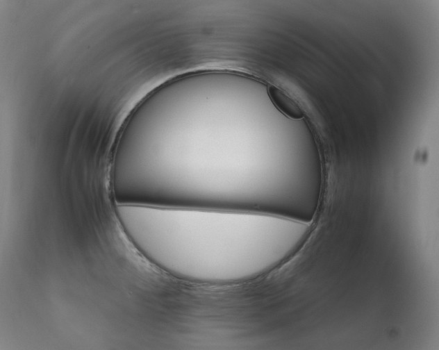 X0000111211284200907011434