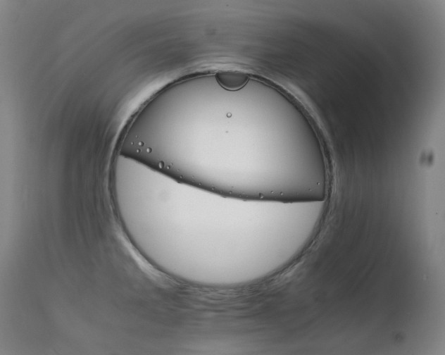 X0000111211285200907011434