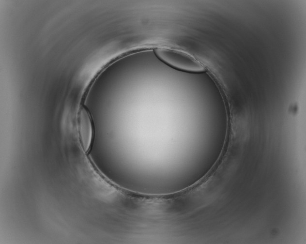 X0000111211288200907011434