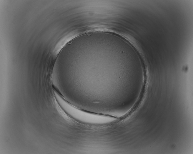 X0000111211289200907011434