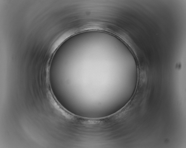 X0000111211290200907011434