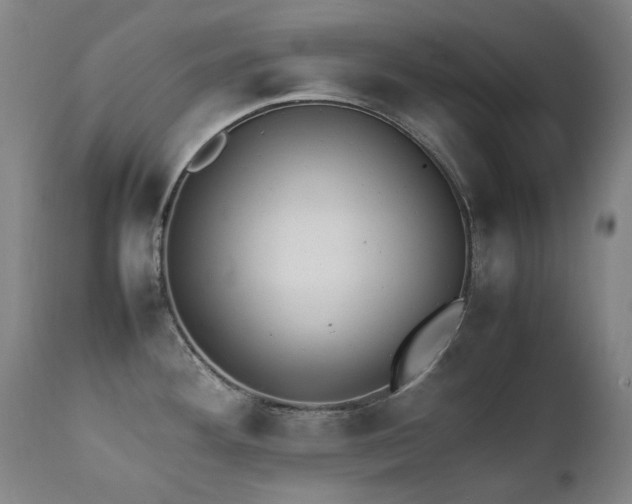 X0000111211292200907011434