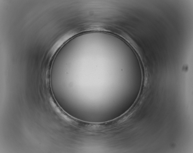 X0000111211293200907011434