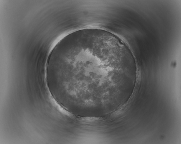 X0000111211294200907011434