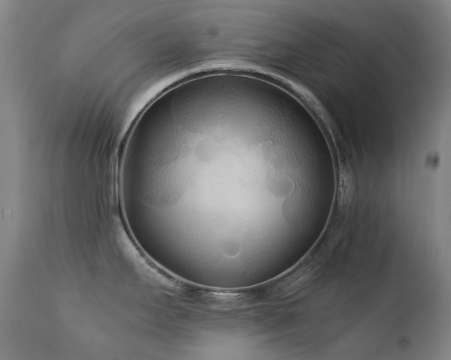 X0000111211295200907011434