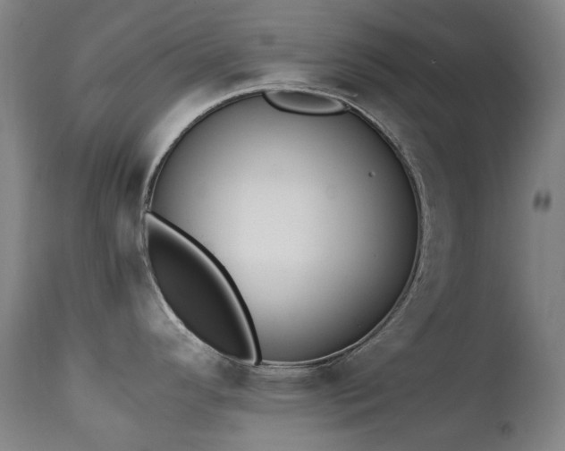 X0000111211296200907011434