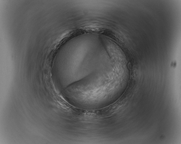 X0000111211297200907011433