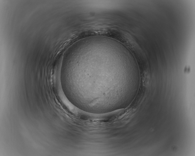 X0000111211298200907011433