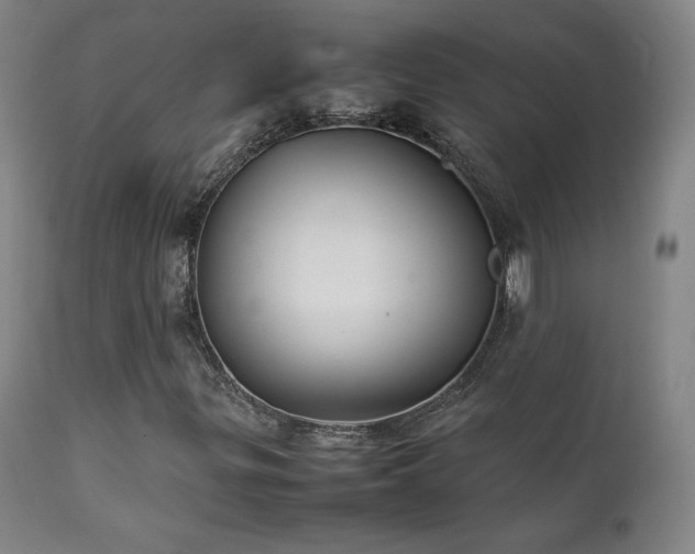 X0000111211299200907011433