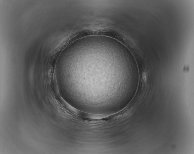 X0000111211300200907011433