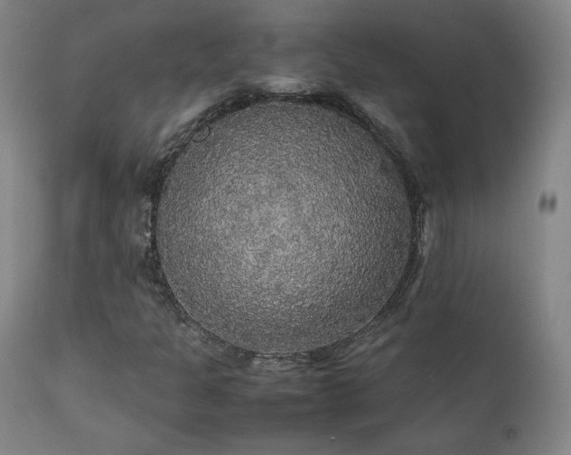 X0000111211301200907011433