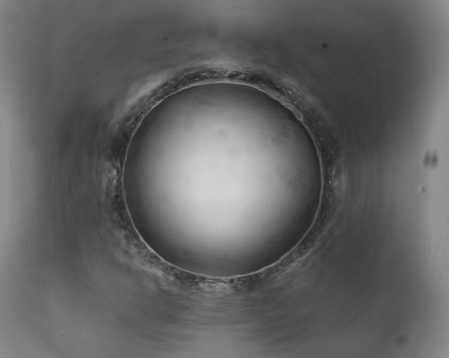 X0000111211302200907011433