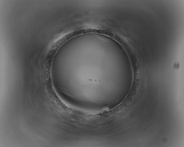 X0000111211303200907011433