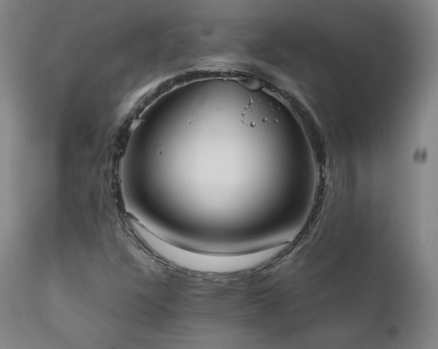 X0000111211304200907011433