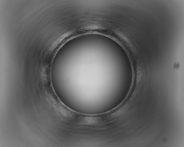 X0000111211305200907011433