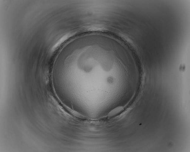 X0000111211306200907011433