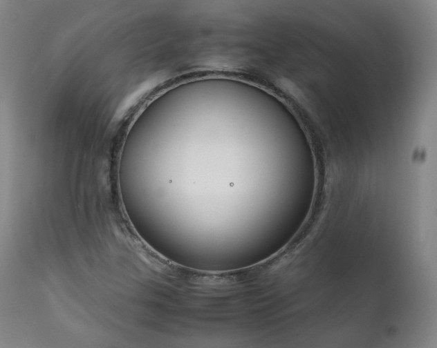 X0000111211307200907011433