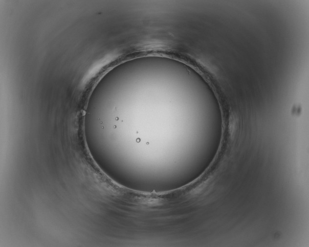 X0000111211309200907011434