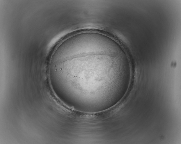 X0000111211310200907011434