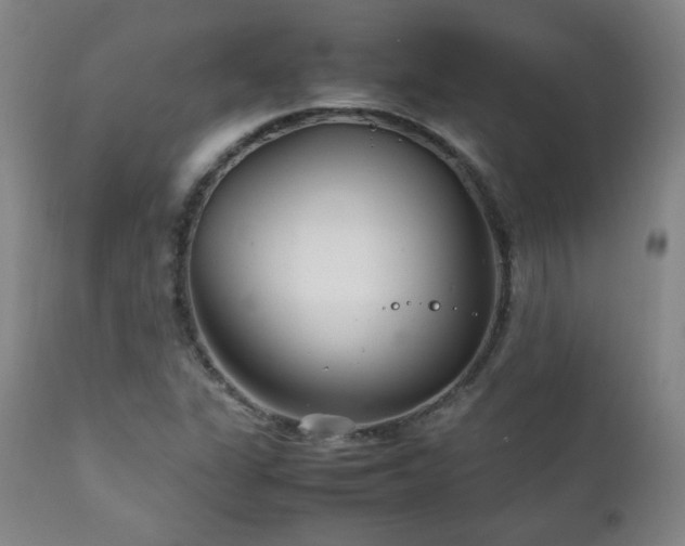 X0000111211311200907011434